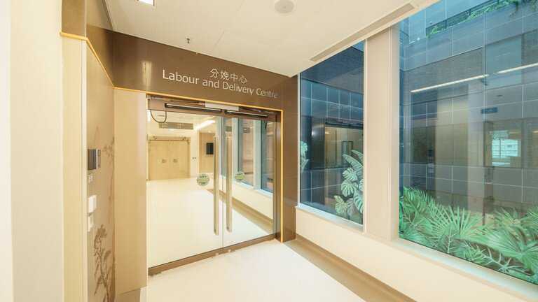 代生公司价格-人工授精多久能测出来怀孕呢？人工授精多久可以查出来怀孕？