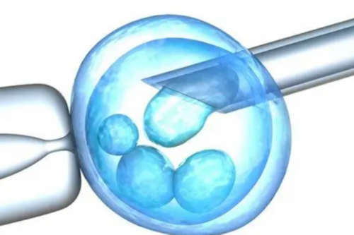三代助孕费用-拨开孕酮和HCG的关系